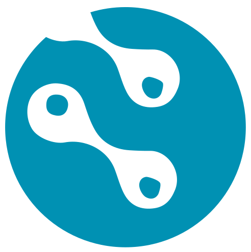 NetinDS_Logo